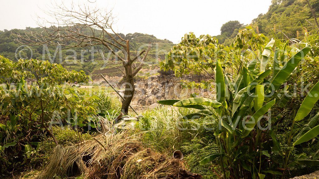 1805061506_Taiwan_00528